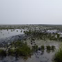 P1020066a_crop