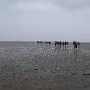 P1020093_crop
