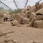 P1010486