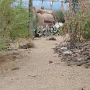 P1010491