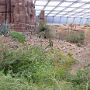 P1010494