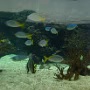 P1010503_crop