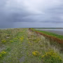 P1030840