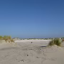 P1020131