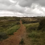 2013-08-18_12.56.12