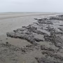 P1020938