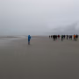 P1020939