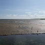 P1020815b_crop