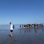 P1020822