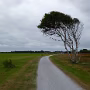 P1020835
