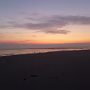 P1030288_crop