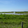 P1020636