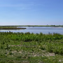 P1020639