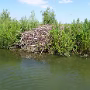 P1020643