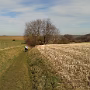 2015-03-07_12.38.45