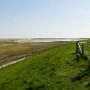 P1000504.JPG