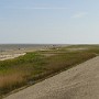 P1000507.JPG