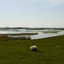 P1000510.JPG