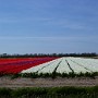 P1020506.JPG