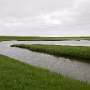 P1000263
