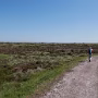 P1000282