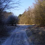 DSCF2707