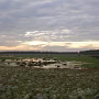 DSCN1690