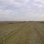 DSCN1692