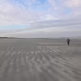 DSCN1695