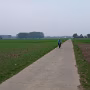 P4201002