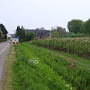 P4201004