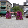 P1020245