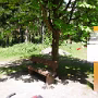 P1000853