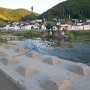 P1020901.JPG