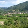 P7061074.JPG