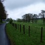 P5141768.JPG
