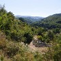P1020520.JPG