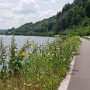 P1020928