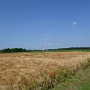 P1030903