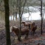 02P1010296.JPG