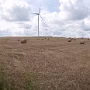 P1000304