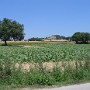 IMG_1353.jpg