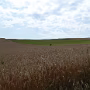 P1020969