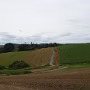 P1020971