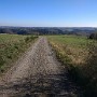 IMG_20181021_114615250.jpg