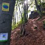 IMG_20181021_131910313_HDR.jpg