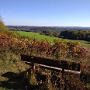 IMG_20181021_135116594