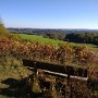 IMG_20181021_135116594.jpg