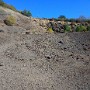 IMG_20181021_135611777.jpg