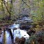 IMG_20181021_143016058.jpg